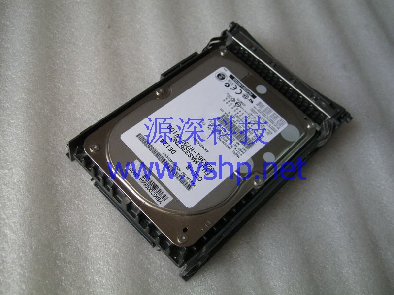 上海源深科技 上海 富士通 Fujitsu 服务器 36G SCSI硬盘 MAS3367NC S26361-H737-V100 高清图片